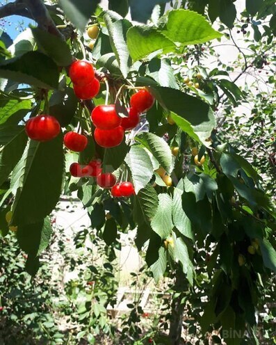 Продаётся 3-комн. дом/дача 71 м², photo 10 from 27