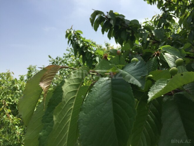 Продаётся 3-комн. дом/дача 71 м², photo 22 from 27