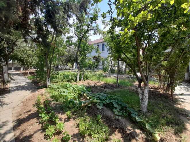 Satılır 7 otaqlı həyət evi/bağ evi 650 m², Badamdar q., photo 7 from 15