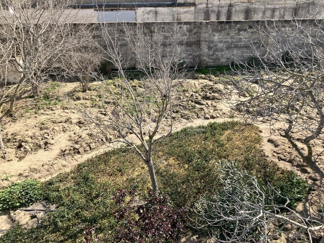 Продаётся  участок 6 сот, пос. Говсан, photo 8 from 11