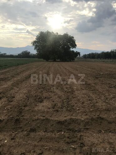 Продаётся  участок 46 сот, м. Нариман Нариманов, photo 3 from 5