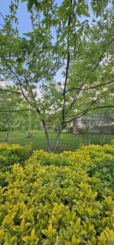 Продаётся 9-комн. дом/дача 420 м², пос. Нардаран, photo 5 from 22