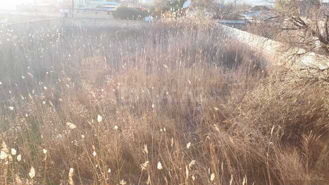 Satılır 6 otaqlı həyət evi/bağ evi 240 m², Qobustan q., photo 15 from 22