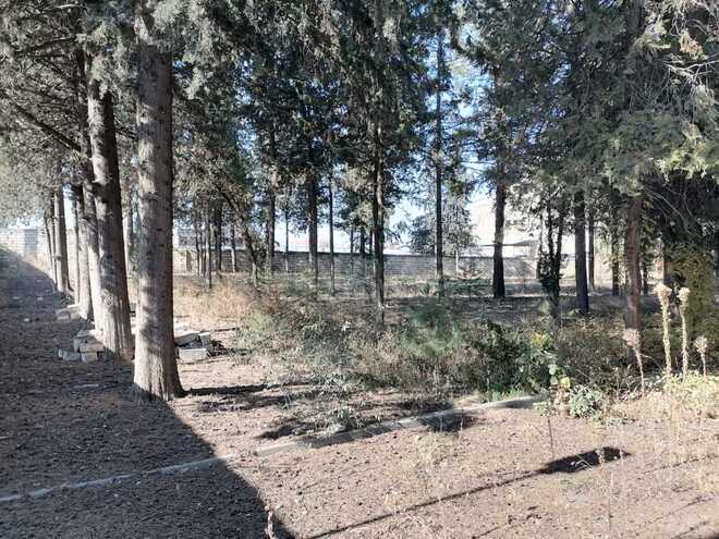 Satılır  obyekt 1 031.9 m², photo 6 from 14