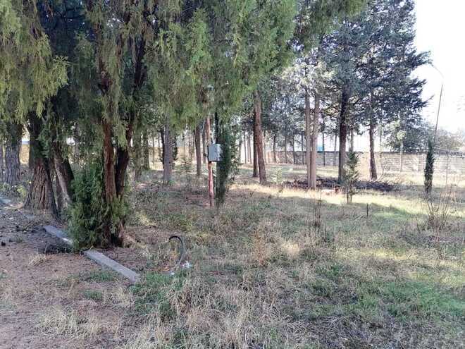 Satılır  obyekt 1 031.9 m², photo 8 from 14