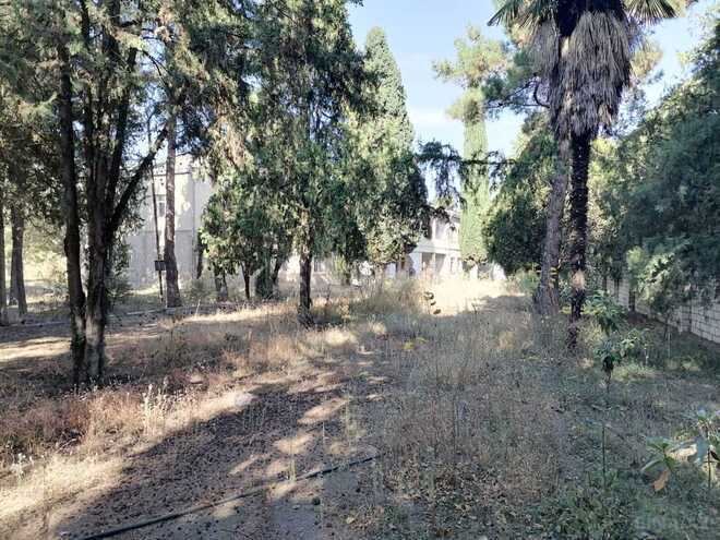 Satılır  obyekt 1 031.9 m², photo 4 from 14