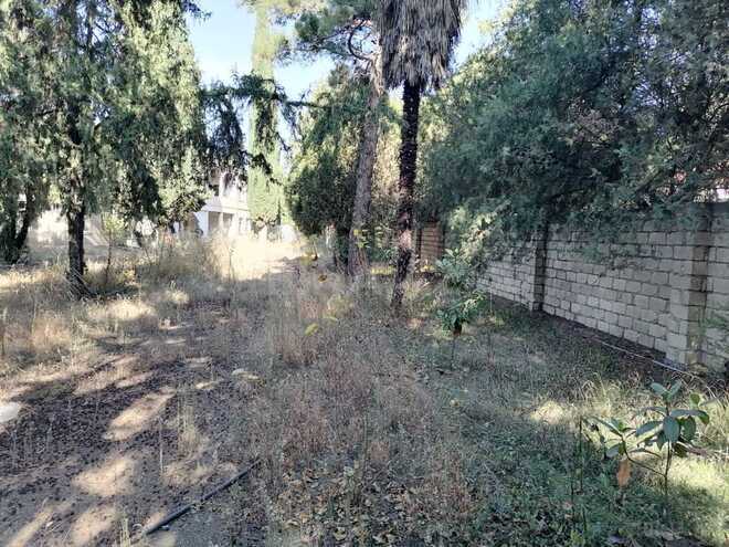 Satılır  obyekt 1 031.9 m², photo 3 from 14