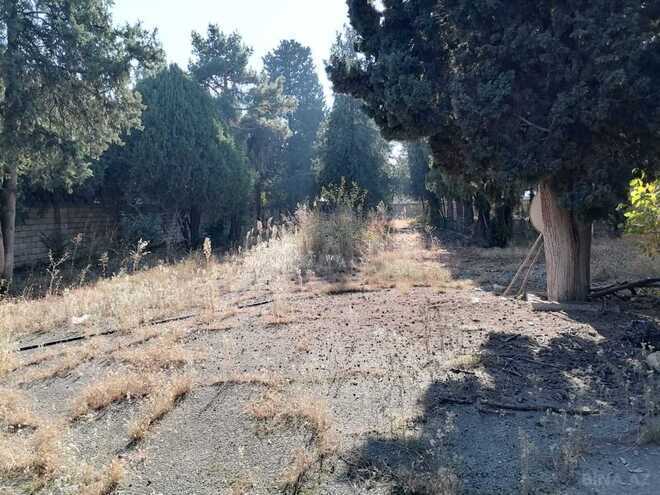 Satılır  obyekt 1 031.9 m², photo 12 from 14