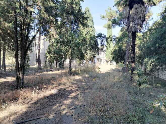 Satılır  obyekt 1 031.9 m², photo 10 from 14