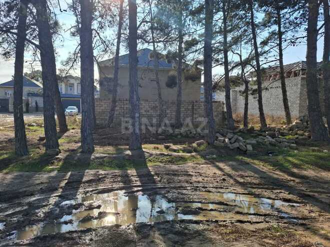 Продаётся  участок 7 сот, пос. Рамана, photo 3 from 7