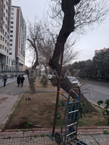 Продаётся 3-комн. новостройка 139 м², м. Нефтчиляр, photo 11 from 15