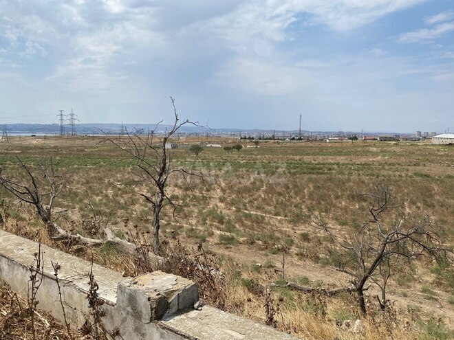 Продаётся  участок 250 сот, пос. Мамедли, photo 3 from 7