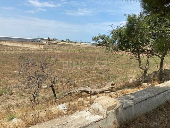 Продаётся  участок 250 сот, пос. Мамедли, photo 5 from 7