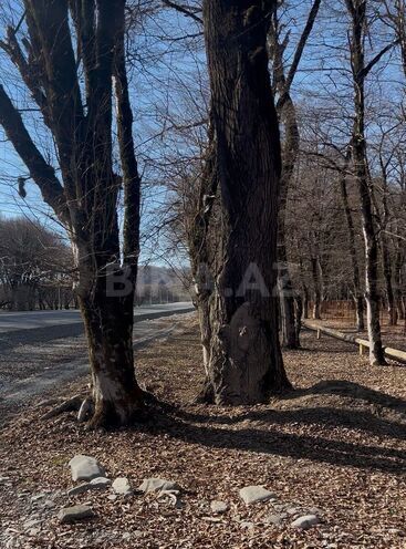 Satılır  torpaq 350 sot, photo 5 from 10