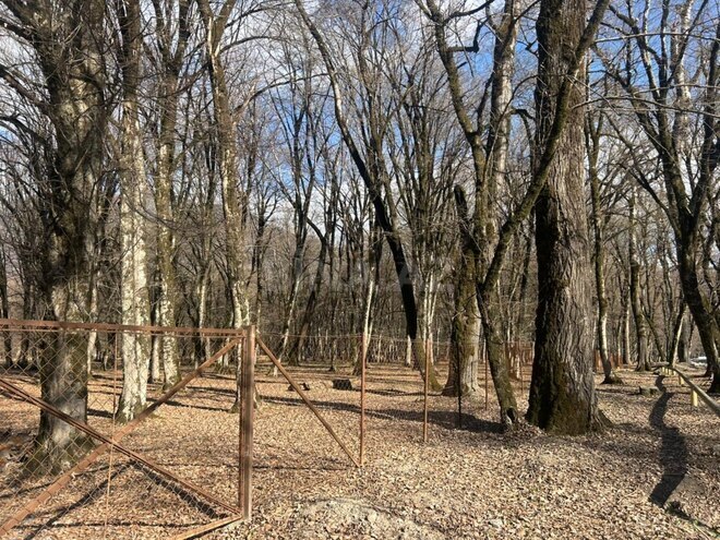 Satılır  torpaq 350 sot, photo 9 from 10