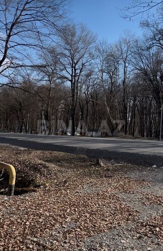 Satılır  torpaq 350 sot, photo 3 from 10