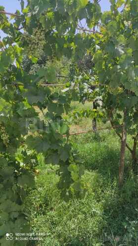 Satılır 4 otaqlı həyət evi/bağ evi 200 m², photo 18 from 19