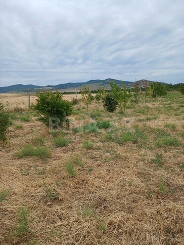 Satılır  torpaq 20 sot, photo 3 from 7