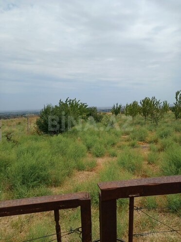 Satılır  torpaq 20 sot, photo 5 from 7