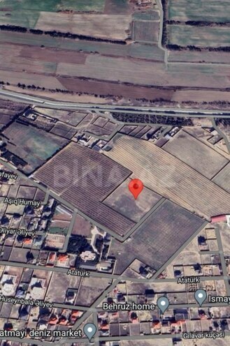 Satılır  torpaq 100 sot, Fatmayı q., photo 4 from 6