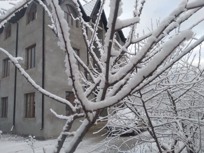 İcarəyə verilir 4 otaqlı həyət evi/bağ evi 100 m², photo 3 from 29