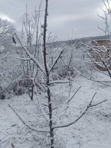 İcarəyə verilir 4 otaqlı həyət evi/bağ evi 100 m², photo 9 from 29