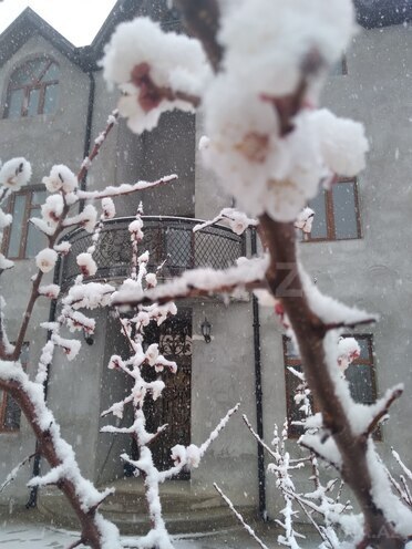 İcarəyə verilir 4 otaqlı həyət evi/bağ evi 100 m², photo 21 from 29