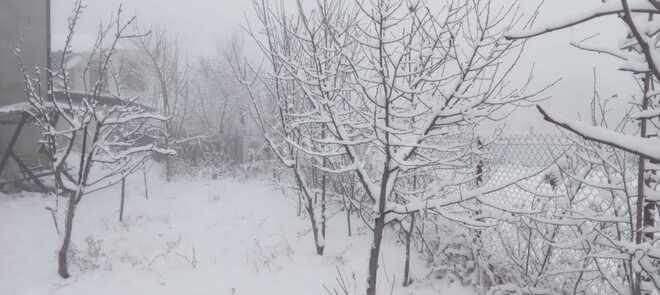 İcarəyə verilir 4 otaqlı həyət evi/bağ evi 100 m², photo 25 from 29