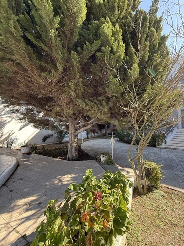 Продаётся 5-комн. дом/дача 363 м², пос. Мардакан, photo 10 from 32