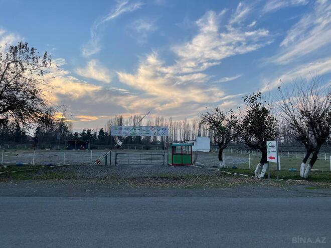 Сдаётся  объект 9 000 м², photo 5 from 16