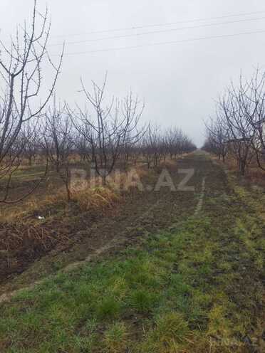 Satılır  torpaq 400 sot, Xaçmaz r., photo 5 from 9