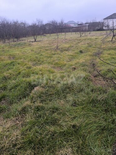 Продаётся  участок 10 сот, Хачмазский р., photo 4 from 5