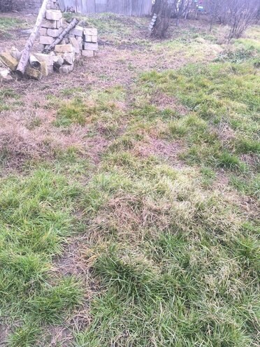 Продаётся  участок 10 сот, Хачмазский р., photo 3 from 5