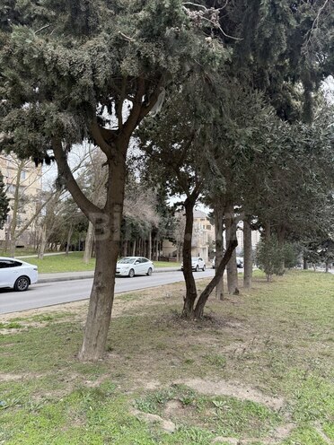 Сдаётся 3-комн. вторичка 70 м², м. Ахмедлы, photo 5 from 22