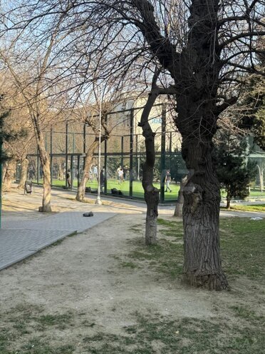 Продаётся 1-комн. вторичка 35 м², м. 20 января, photo 11 from 12