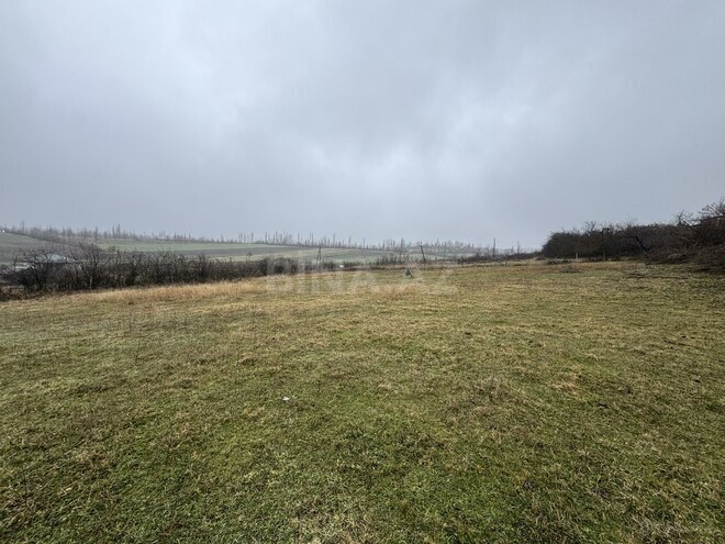 Продаётся  участок 10 сот, photo 7 from 12