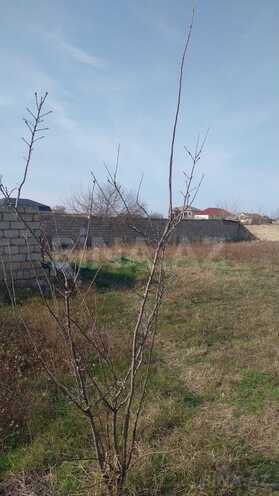 Satılır  torpaq 16.5 sot, Novxanı q., photo 4 from 8