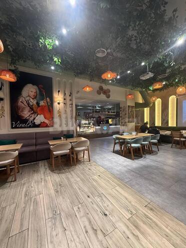 Сдаётся  объект 185 м², м. Низами, photo 8 from 16