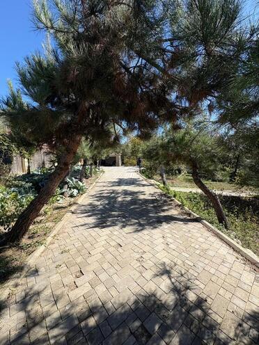 Satılır 12 otaqlı həyət evi/bağ evi 800 m², photo 19 from 27