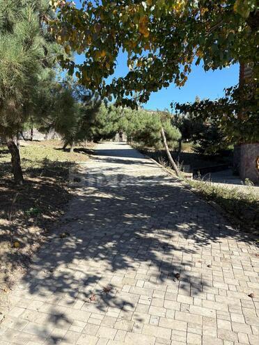 Satılır 12 otaqlı həyət evi/bağ evi 800 m², photo 20 from 27