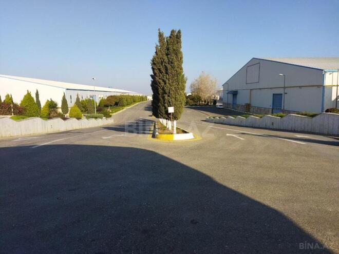 Сдаётся  объект 6 500 м², Абшеронcкий  р., photo 17 from 21