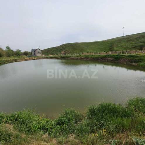 Satılır  torpaq 280 sot, photo 6 from 8