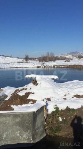 Satılır  torpaq 280 sot, photo 3 from 8