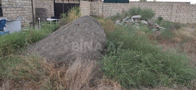 Satılır  torpaq 12 sot, Xaçmaz r., photo 4 from 11