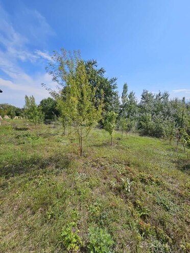 Satılır 4 otaqlı həyət evi/bağ evi 160 m², photo 13 from 32