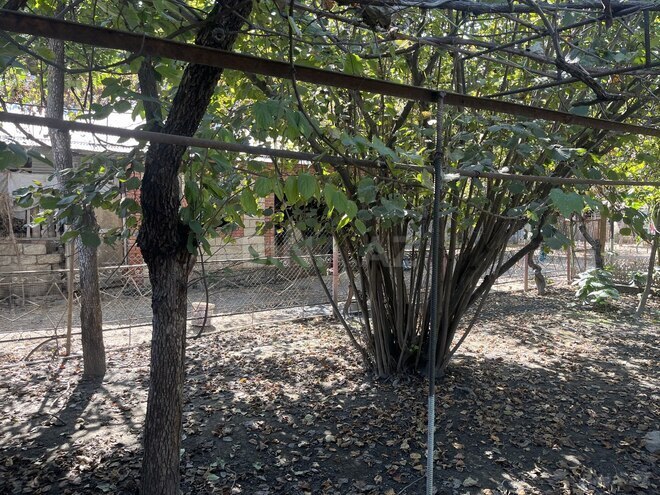 Продаётся 6-комн. дом/дача 233 м², photo 4 from 32