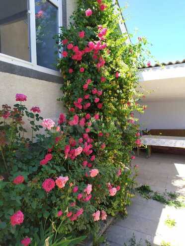 İcarəyə verilir 3 otaqlı həyət evi/bağ evi 150 m², photo 11 from 21