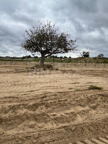 Продаётся  участок 11 сот, пос. Нардаран, photo 4 from 5