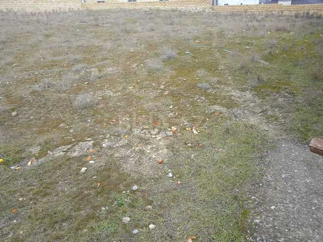 Satılır  torpaq 14 sot, Badamdar q., photo 1 from 6
