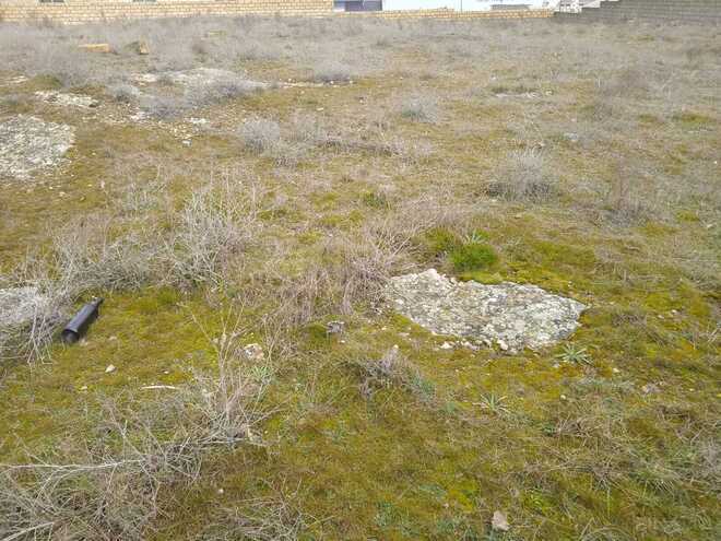 Satılır  torpaq 14 sot, Badamdar q., photo 4 from 6